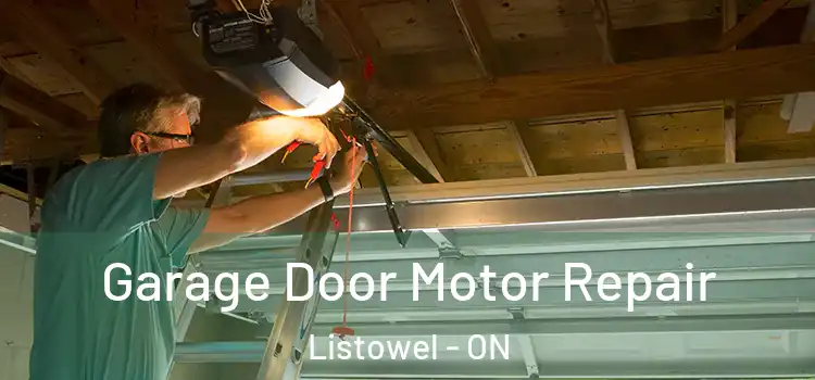  Garage Door Motor Repair Listowel - ON
