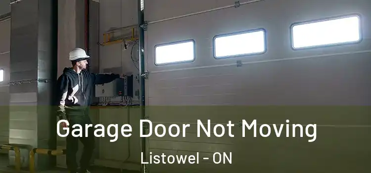  Garage Door Not Moving Listowel - ON