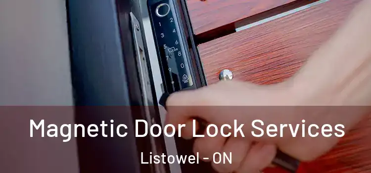Magnetic Door Lock Services Listowel - ON